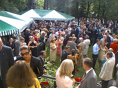 6fe110c63484a3ef-02480