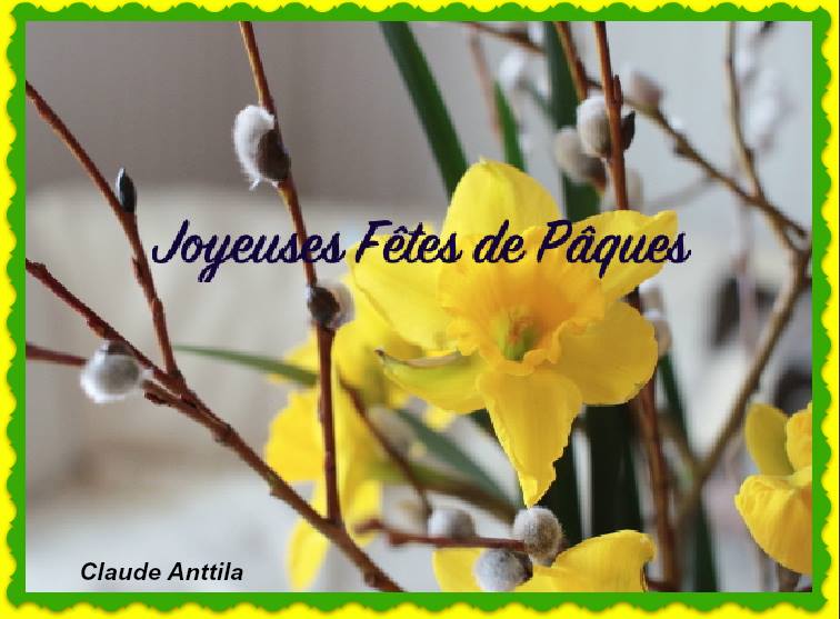 56956390_10218722325672022_4080823078479724544_n